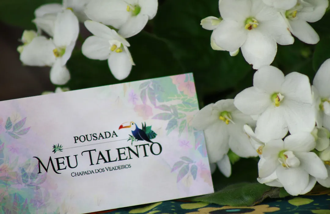 Pousada Meu Talento-1